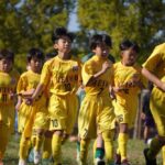 LINE_ALBUM_113 全日 vs FC TOMIDA(0-1)_241106_133